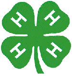 4-h logo cutout