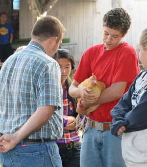 A Junior Fair exhibitor has his chicken judged during the Poultry Show held on Friday. (Jan Dunlap/Van Wert independent)