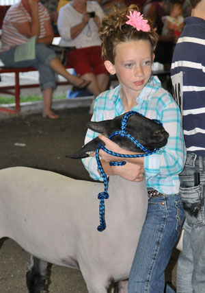 This youngster seems to have things well in hand during the Junior Fair Sheep Show held Thursday at the Van Wert County Fair. (Jan Dunlap/Van Wert independent)