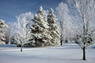 “Winter in Van Wert” – Photo by Rex Dolby.