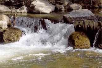 Joe Schramm's winning print taken in the Sidney city park. (Photo submitted.)