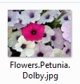 An example of the current naming convention for photographs for competitions and web software. (Photo submitted.)