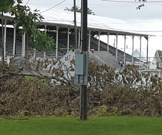 Trees are being removed on the east side of the Grandstand on the Van Wert County Fairgrounds. (photo submitted)