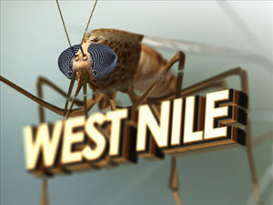 West Nile Virus artwork 8-2014