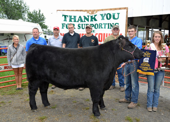 Austin Sorgen's Grand Champion Show Steer was sold to a consortium of buyers during this year's Junior Fair Livestock Auction. (Dave Mosier/Van Wert independent)