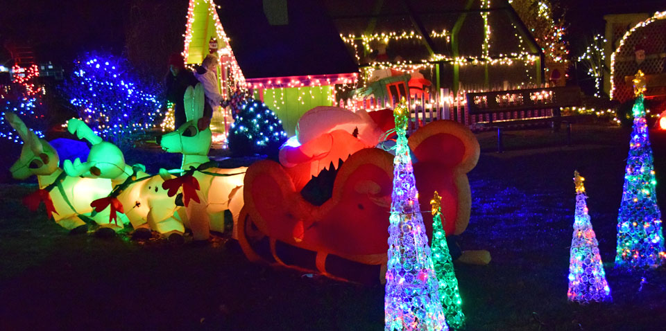 Christmas Garden lights 11-2014