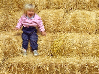 This picture illustrates use of the “rule of thirds”.  This guideline proposes that an image should be imagined as divided into nine equal parts by two equally spaced horizontal lines and two equally spaced vertical lines, and focal point(s) should be placed where the lines intersect, rather than simply centering the subject in the picture.  (Photo by Rex Dolby.)