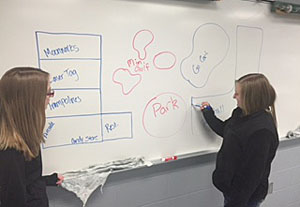 Mackenzie Agler (left) and Arin Smith, both seniors at Van Wert High School, draw their business idea in class for an entertainment park with go-carts, miniature golf and many other amenities they feel are missing in Van Wert. (photo submitted)