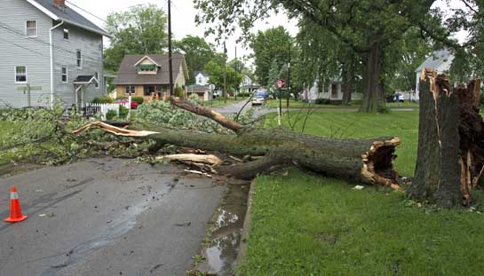 Storm damage 5-30-15-College Ave