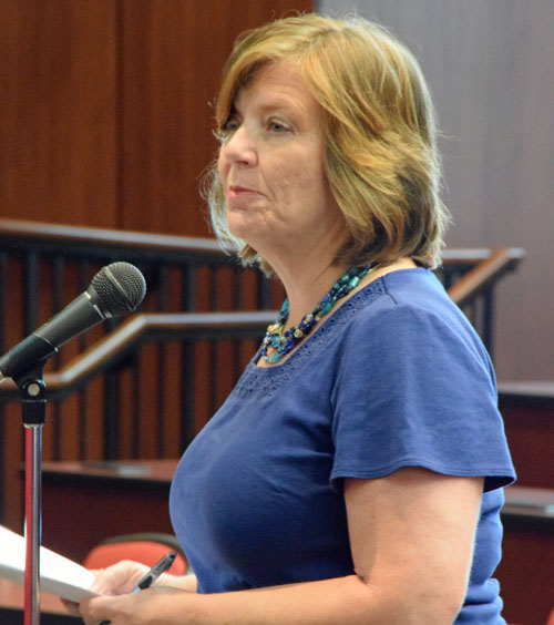 Cheryl Ryan of the Ohio School Boards Association talks about assistance her organization could provide for a strategic planning workshop. (Dave Mosier/Van Wert independent)