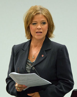 Van Wert City Economic Development Director Cindy Leis updates Van Wert City Council on economic development over the past year. (Dave Mosier/Van Wert independent)