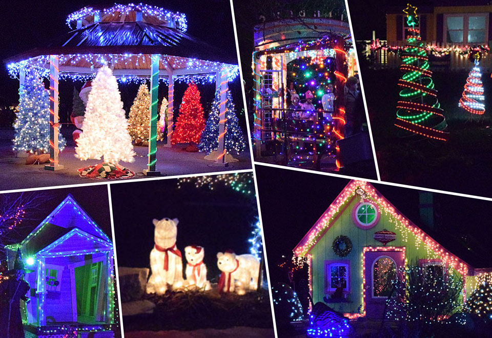 Christmas Garden lighting collage 11-25-15