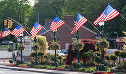 American flags artwork 3-2016