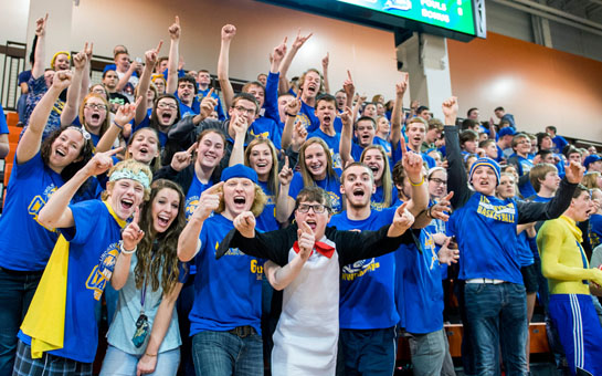Lview boys vs. Fayette 3-8-16-crowd