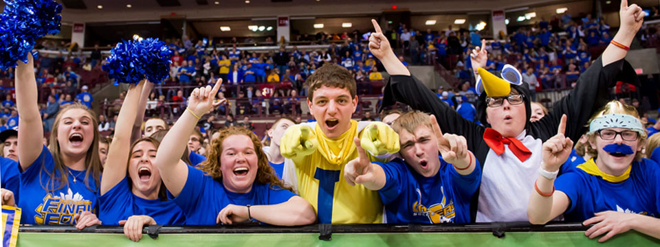 Lview boys vs. Jackson Center 3-18-16-crowd pic