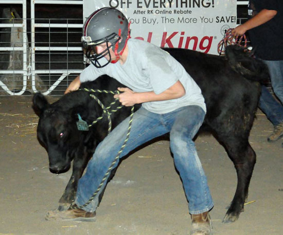 Kids and adults all had fun trying to wrestle down a variety of animals -- pigs, lambs, and calves -- during the Calf Scramble held Wednesday evening at the Van Wert County Fair. Jan Dunlap/Van Wert independent