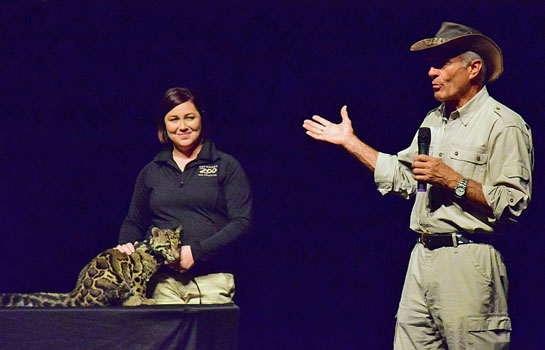 jack-hanna-into-the-wild-live-2016-clouded-leopard-545-px