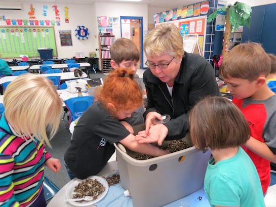 Tammi Campbell of Van Wert Soil and Water recently visited Karla Bowersock's KB kindergarten class to teach them about the wonderful world of worms.  (Photo submitted.) 