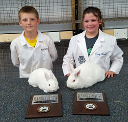Previous Van Wert Rabbit Show winners. (photo submitted)